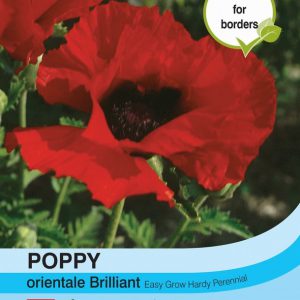 Poppy Brilliant