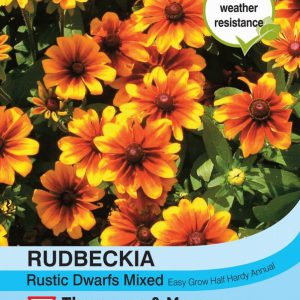 Rudbeckia Rustic Dwarfs Mixed