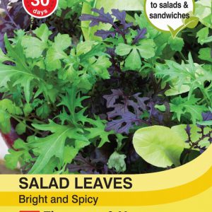 Salad Leaves – Bright and Spicy