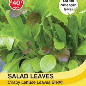 Salad Leaves – Crispy Lettuce Blend
