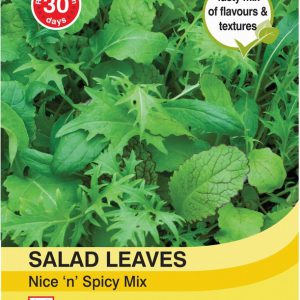 Salad Leaves – Nice n Spicy Mixed