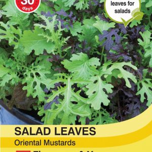 Salad Leaves – Oriental Mustards