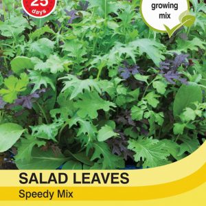 Salad Leaves – Speedy Mix