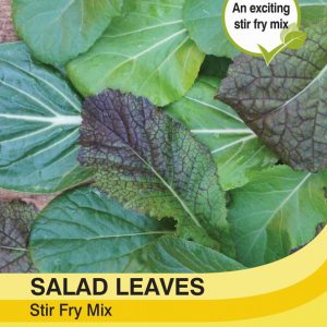 Salad Leaves Stir Fry Mix