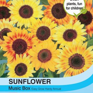 Sunflower Music Box