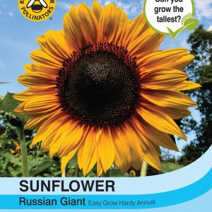 Sunflower Russian Giant