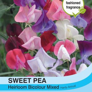 Sweet Pea Heirloom Bicolour Mix