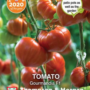 Tomato Gourmandia F1 Hybrid