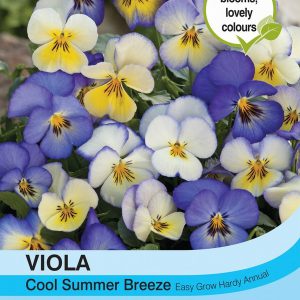 Viola Cool Summer Breeze – Takii Mixed