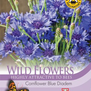 Wild Flower Cornflower Blue Diadem