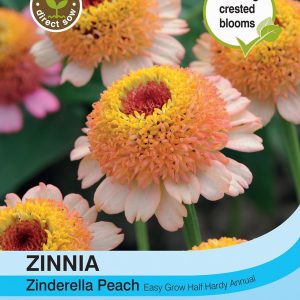 ZINNIA elegans Zinderella Peach