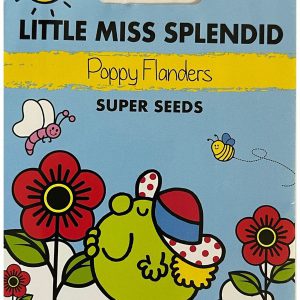 Little Miss Splendid Poppy Flanders