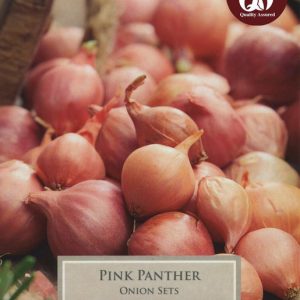 ONION PINK PANTHER 14-21 PRE-PACK