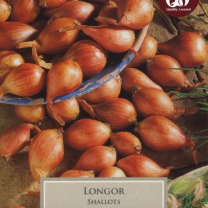 PRE-PACKED LONGOR FRENCH SHALLOT 15-35