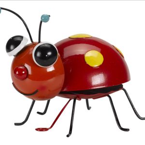 Loony Ladybug – Large