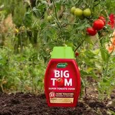 Big Tom Tomato Feed 1Ltr