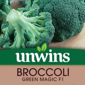 Broccoli (Calabrese) Green Magic F1