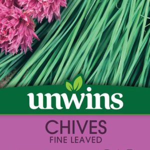 Herb Chives Fine Leaved