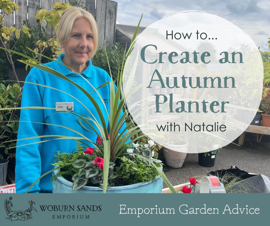 You are currently viewing How to Create an Autumn Planter – with Natalie