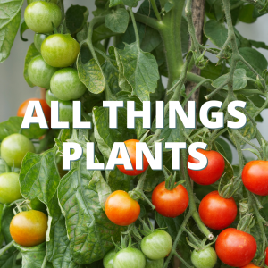 All Things Plants