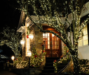 Read more about the article How to create a Christmas grotto in your garden