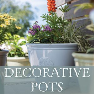 Decorative Pots