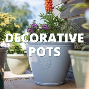 Decorative Pots