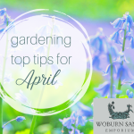 Gardening Top Tips for April
