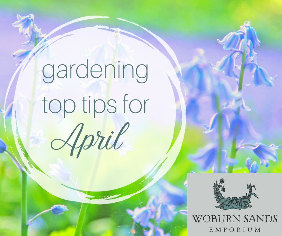 You are currently viewing Gardening Top Tips for April