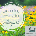 Gardening Top Tips for August