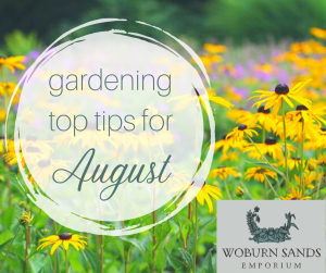 Read more about the article Gardening Top Tips for August