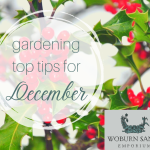 Gardening Top Tips for December