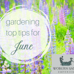 Gardening Top Tips for June