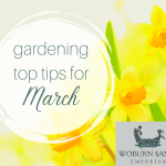Gardening Top Tips for March