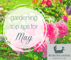 Read more about the article Gardening Top Tips for May