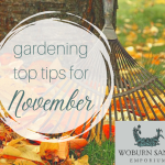 Gardening Top Tips for November
