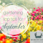 Gardening Top Tips for September