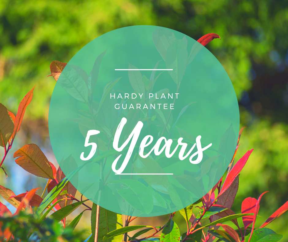 You are currently viewing 5 Year Hardy Plant Guarantee