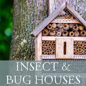 Insect & Bug Houses