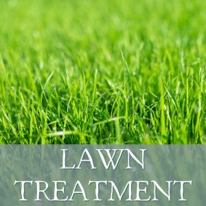 Lawn Treatment
