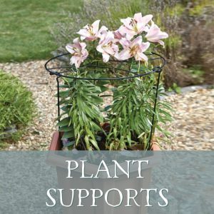 Plant Supports