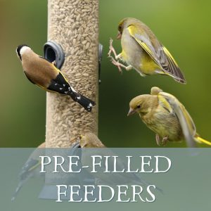 Pre-Filled Bird Feeders