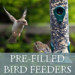 Pre-Filled Bird Feeders