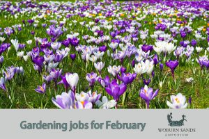 Read more about the article Top Gardening Jobs for February