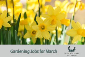 Read more about the article Top Gardening Jobs for March